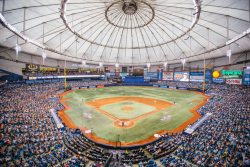 Tampa Bay Rays