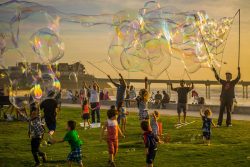 bubbles