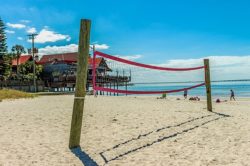 Beach Volleyball | Peppertree Bay