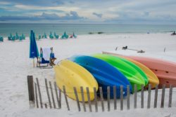 Siesta Key is sensational. Adventurers will crave the possibilities of kayaking through the mangroves.