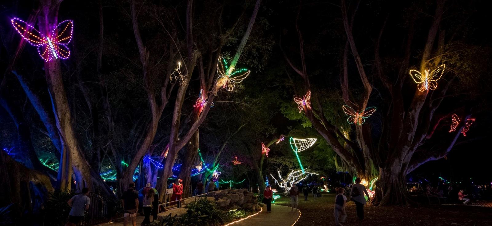 Christmas lights at the Marie Selby Botanical Garden
